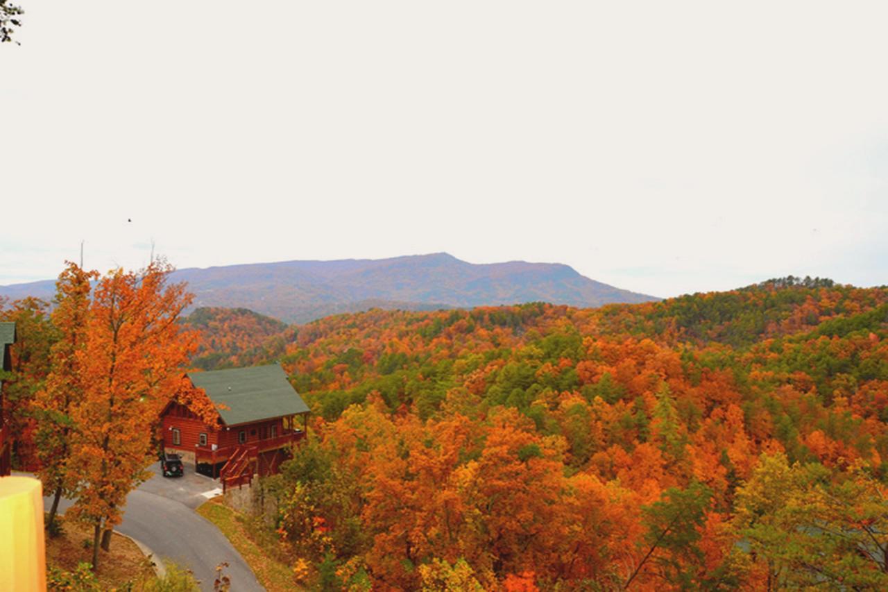 Wild Mountain Honey 3 Bedroom/3 Bath Home With Home Theater Pigeon Forge Exterior photo